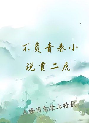 不负青春小说贾二虎