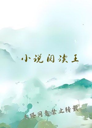 小说阅读王