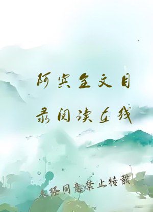 阿宾全文目录阅读在线